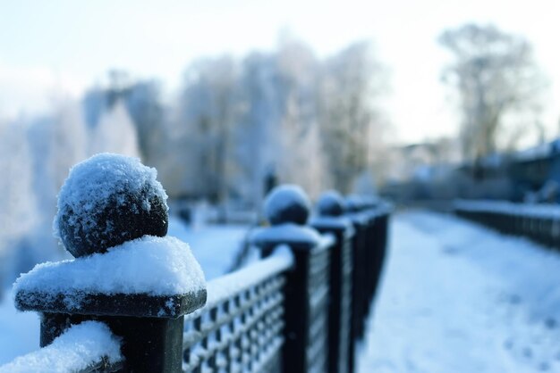 柵で覆われた雪のウィンターパーク