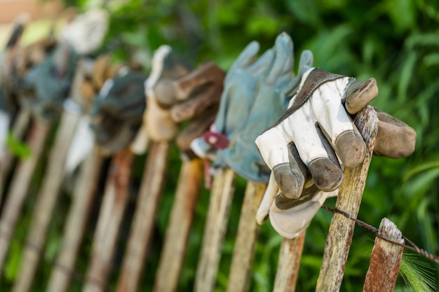 Photo fence decorated with old work gloves.