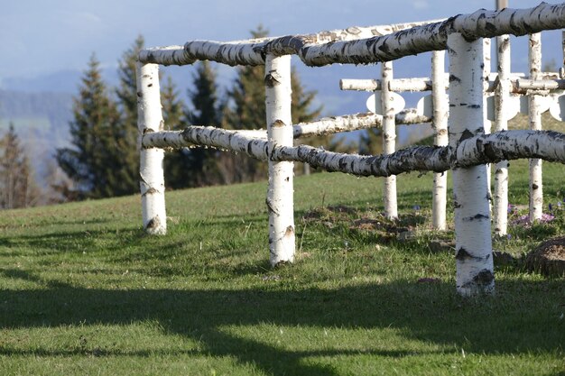 Foto recinzione sul campo contro il cielo