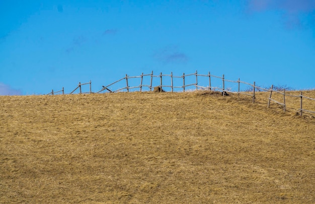 Fence on field against sky