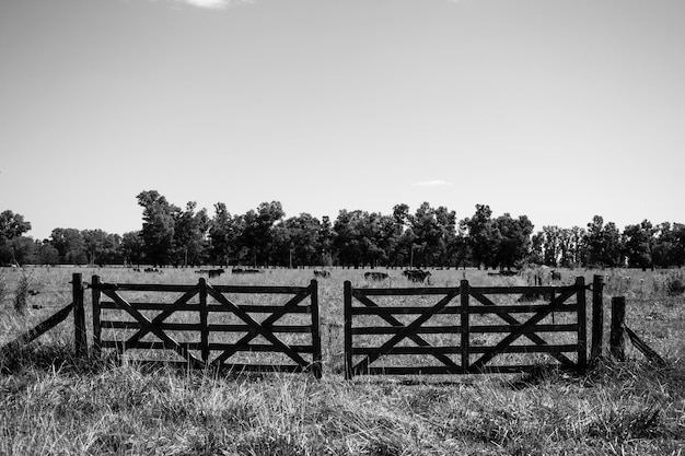 Photo fence on field against sky