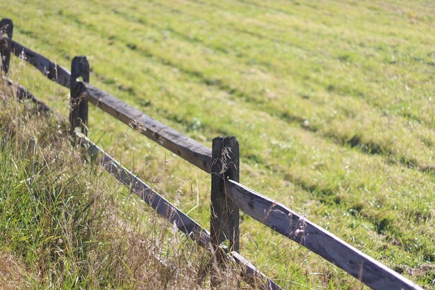 Photo fence on field