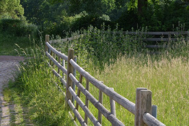 Photo fence on field