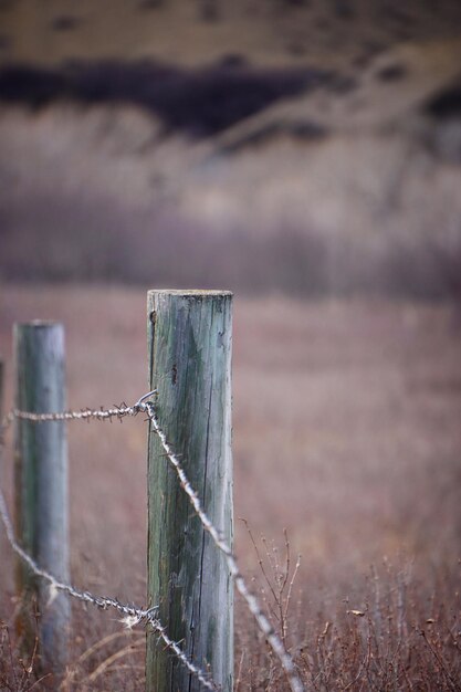 Photo fence on field