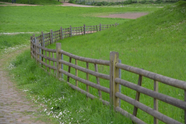 Photo fence on field