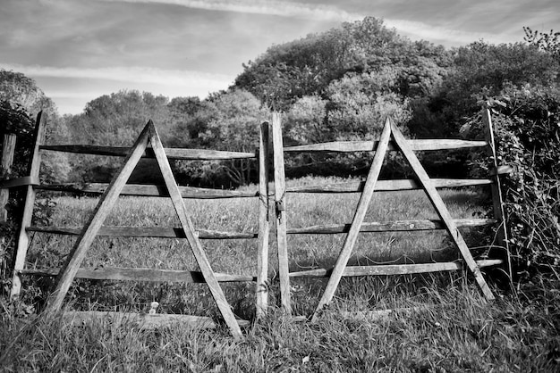 Photo fence on field