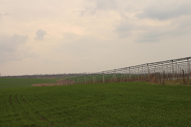 Photo a fence in a field