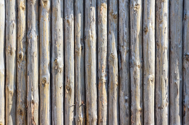 Fence from trunks of trees