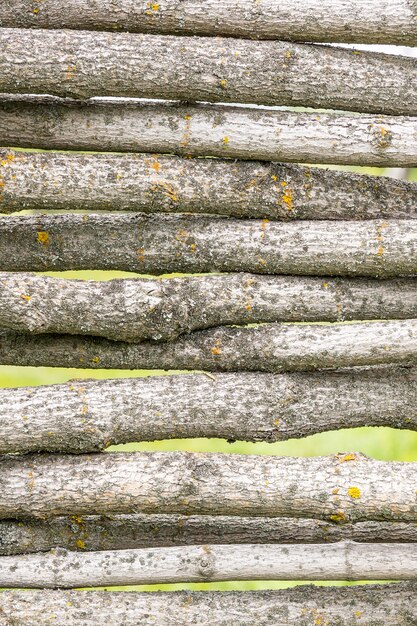 Fence of logs