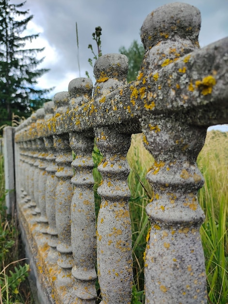 A fence made of concrete shaped decor overgrown with moss in perspective