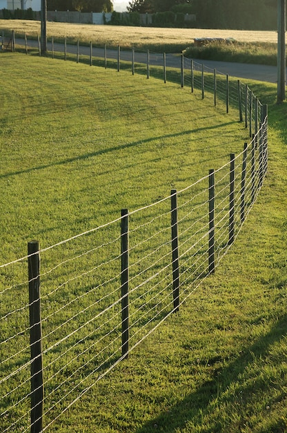 Fence in a meadow