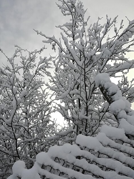 村の雪の中の柵網。