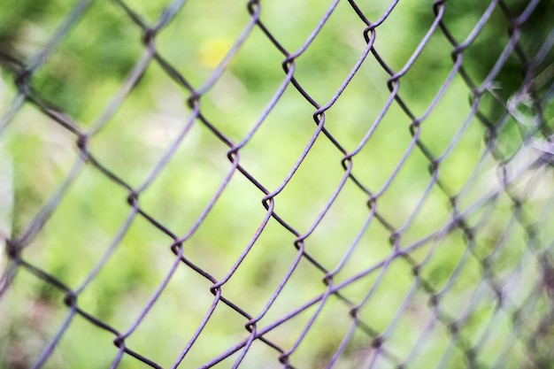 Fence netting