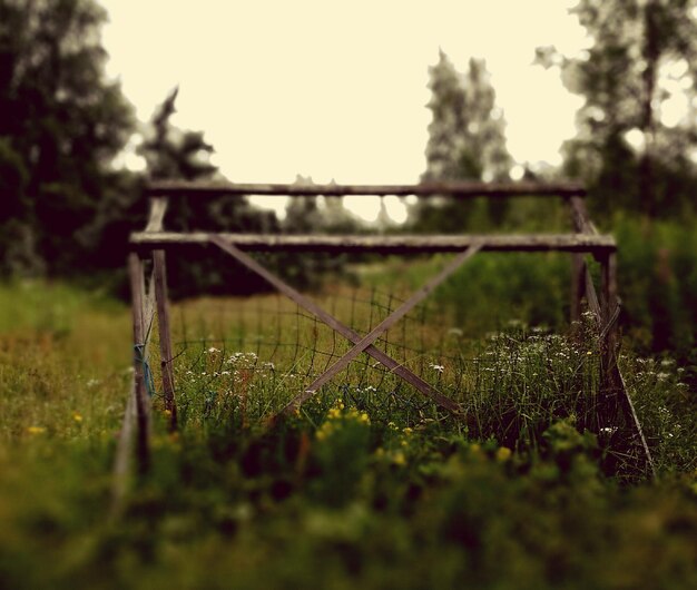 Фото Забор на травяном поле