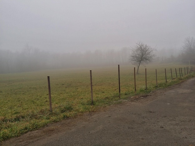 Фото Забор на травяном поле