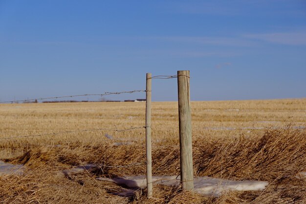 Fence posts with wire around a farm in alberta