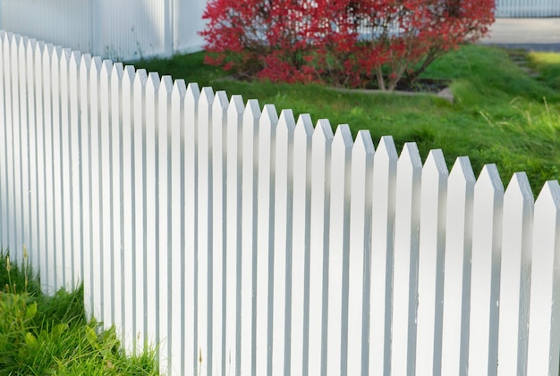 fence of a white wooden garden closed a green garden with a red little mapple tree