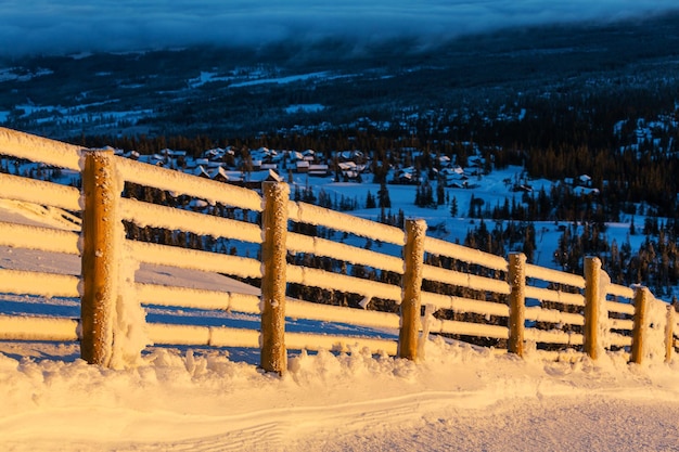 Fence in winter