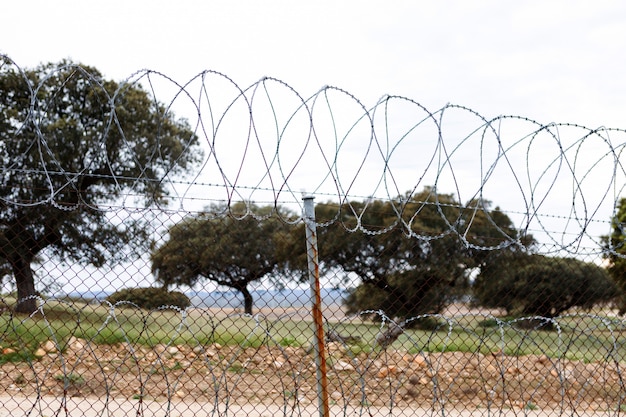 Fence with a barbed wire