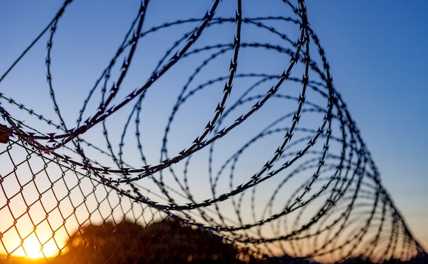 Fence with a barbed wire