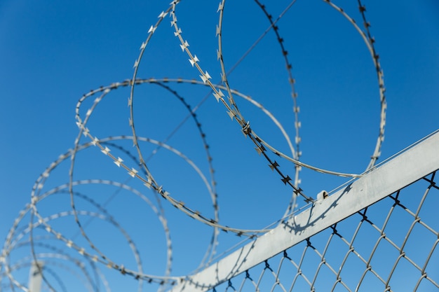 Fence with barbed wire