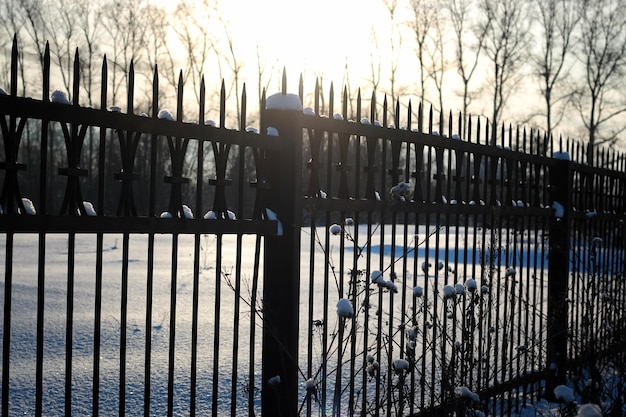 Fence with spikes sun glare