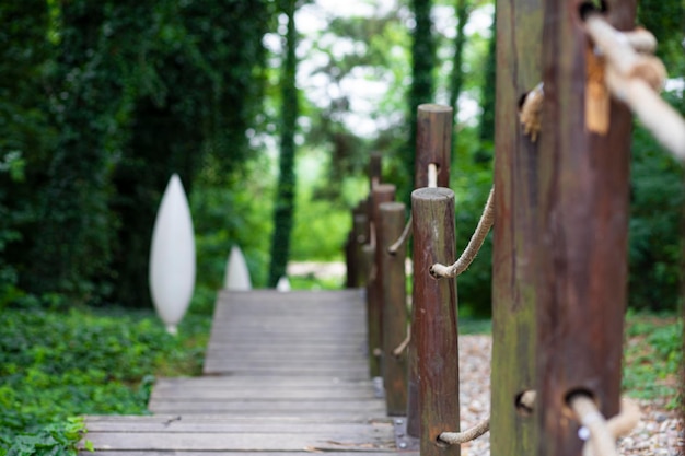 fence in the woods in park