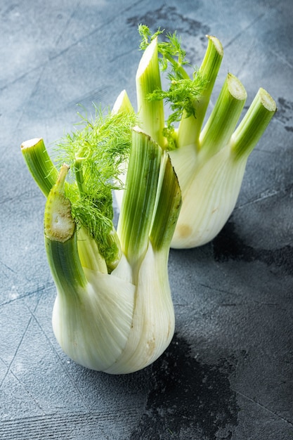 Fennel bulbs, on  grey background