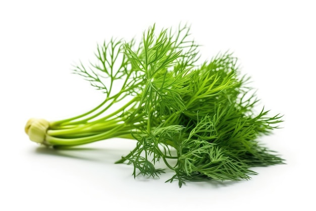 Fennel Leaf On White Background Generative AI