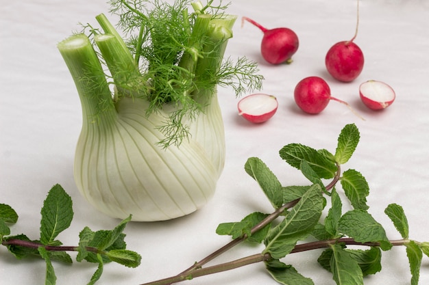 Fennel, radish and sprigs of mint.