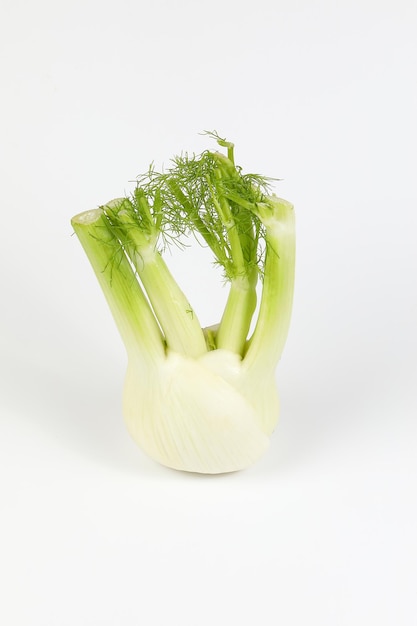 フェンネル ルート葉ハーブ野菜の香り白い背景の上