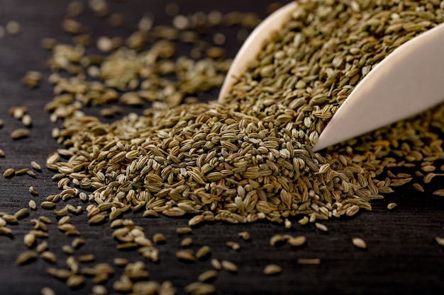 Fennel seeds in spoon