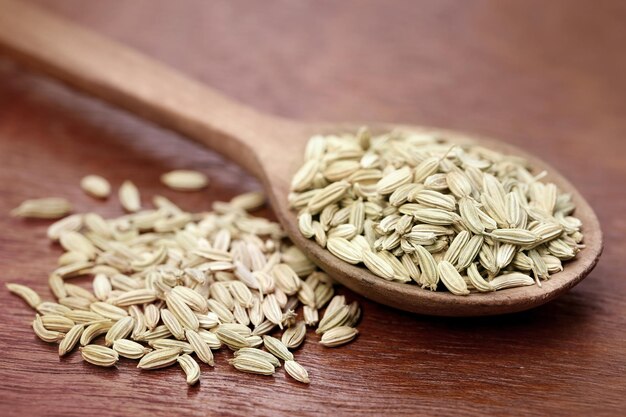 Fennel seeds in a wooden spoon over white background