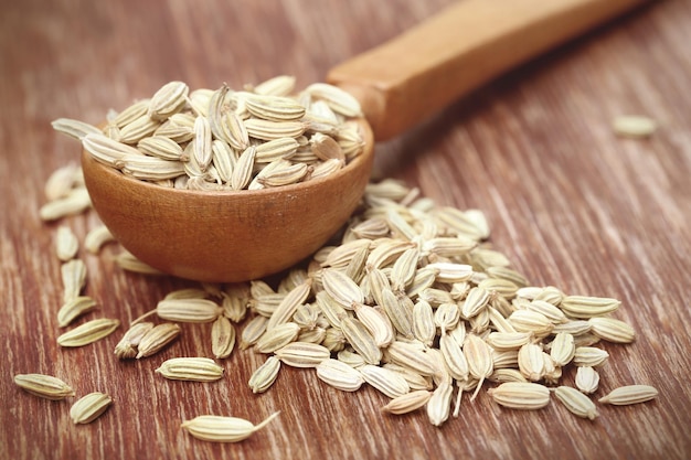 Fennel seeds in a wooden spoon