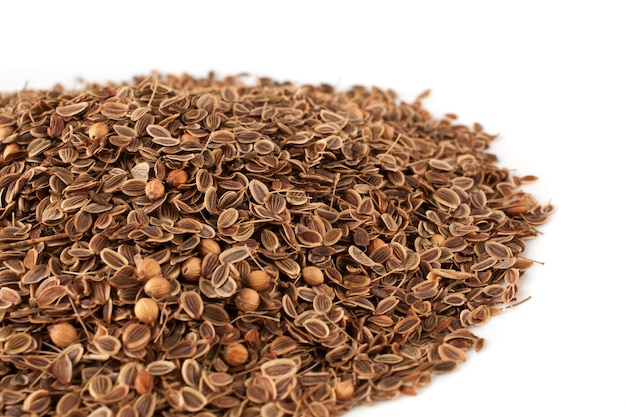 Fennel seeds