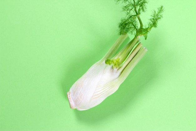 Photo fennel top view