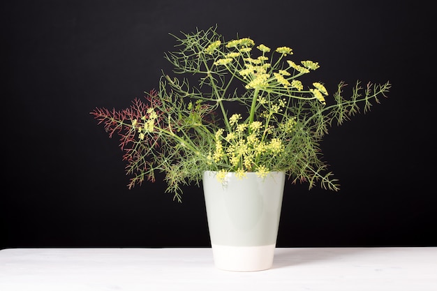 花瓶のフェンネル。装飾または料理用の芳香性ハーブ