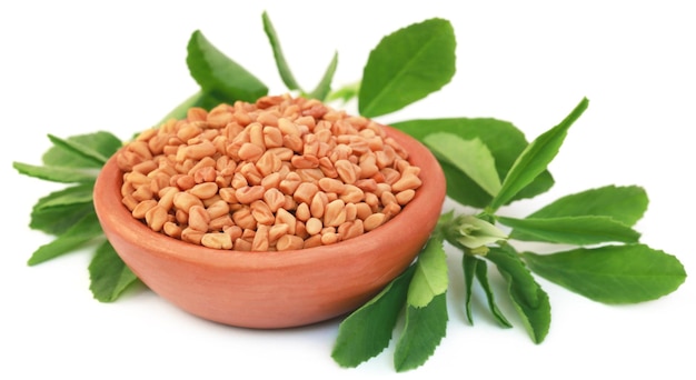 Fenugreek leaves with seeds in a bowl