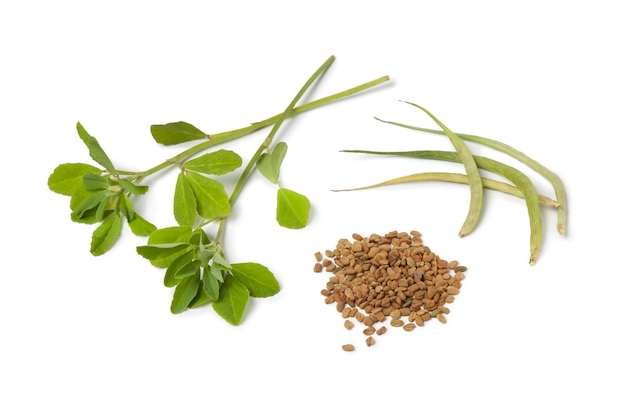 Fenugreek leavespods and seeds