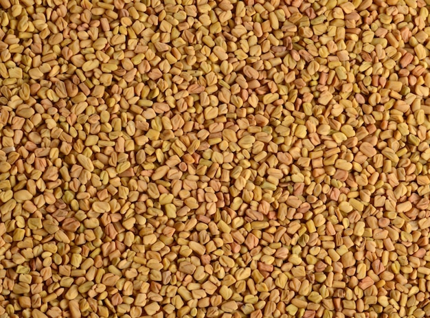 Photo fenugreek seeds as background close up texture