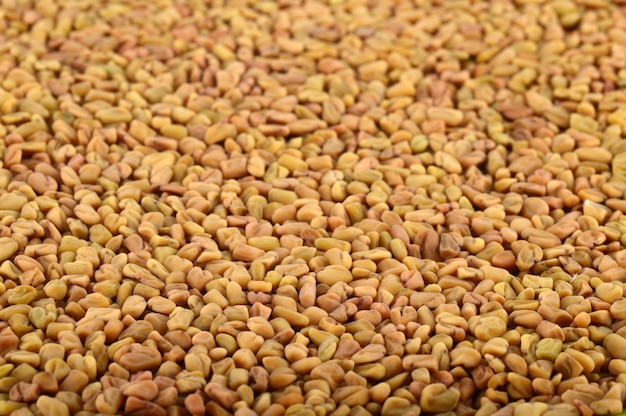 Photo fenugreek seeds as background. close up texture