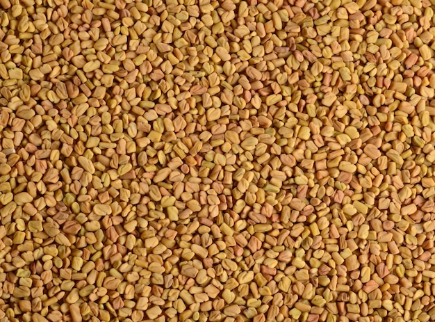 Fenugreek seeds as background. Close up texture