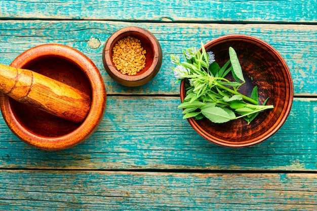 Fenugreek seeds with fresh plant on wooden table