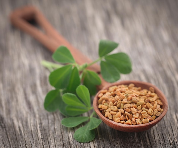 Fenugreek seeds with green leaves on wooden surface