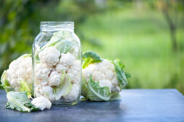 Fermentation of cabbage cauliflower concept pickles Cabbage inflorescences in a jar on a natural green background space for text