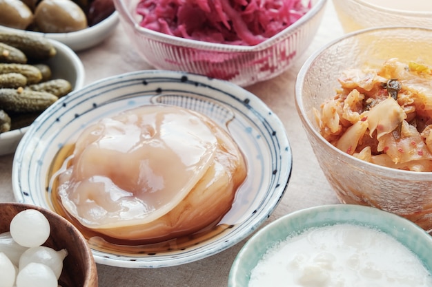 fermented probiotic foods for gut health