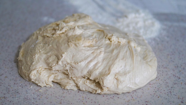 fermented wheat flour dough raw fermented dough fermented and maturing dough