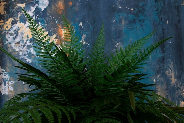 Fern amid blue wall