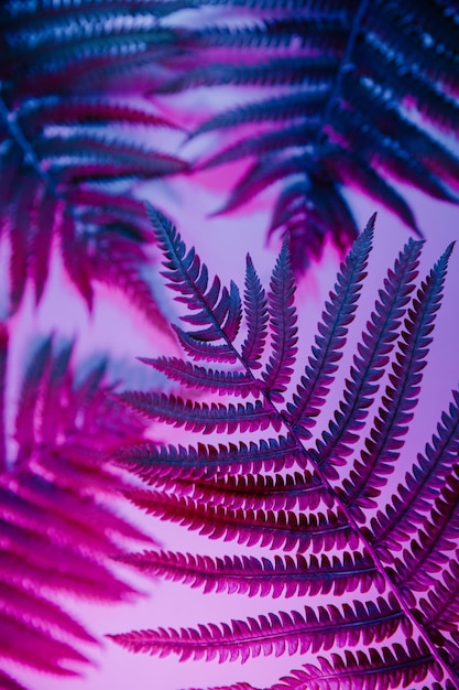 Fern plant in neon light Minimalism retro style concept Vertical image