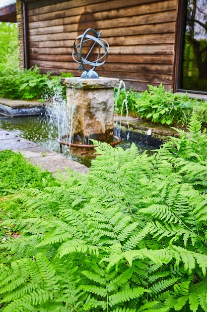 夏に小屋の隣の芸術的な水の噴水の前で成長するフェルン植物